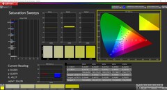 CalMAN saturation calibrated