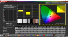 CalMAN ColorChecker (profile: sRGB, target color space: sRGB)