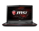 The 17.3" display is ideal for immersive gaming and movie watching. (Source: Amazon)