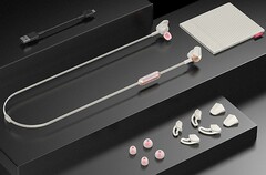 Fitbit Flyer wireless headphones