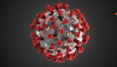 You can help fight the novel coronavirus with your PC. (Source: CDC)