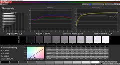 CalMAN Grayscale (target color space sRGB)