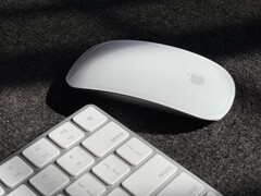 Apple is expected to refresh it&#039;s Magic accessories line-up in the upcoming Apple Event  (Image Source : UnSplash)