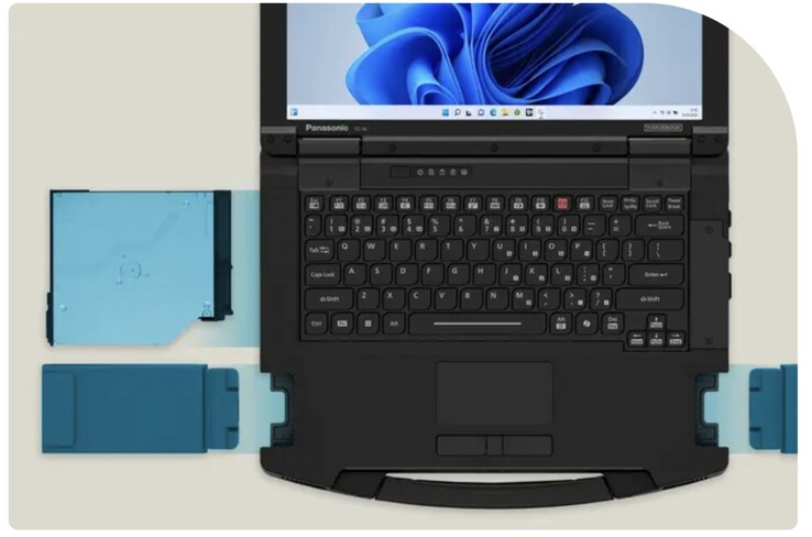 A surfeit of expansion pathways are present.