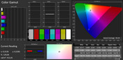 CalMAN Color Space – Optimised Settings