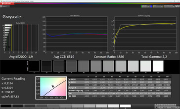 Gray scales (True Tone: off, target color space: sRGB)
