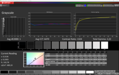 CalMAN grayscale calibrated