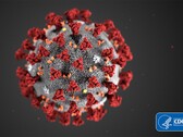The COVID-19 pandemic has led to advanced prevention measures worldwide. (Source: CDC)