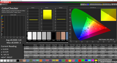 CalMAN - ColorChecker (calibrated)