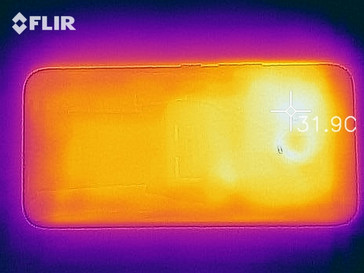 Heat map - back