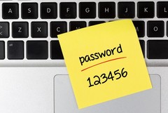 After &quot;password&quot; the next worst whole-word password is &quot;sunshine&quot;. (Source: BetaNews)