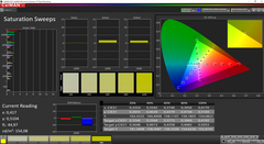 CalMAN Saturation Sweeps (after calibration)