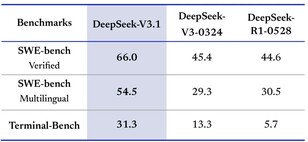 Programmers will appreciate DeepSeek-V3.1 for its stronger coding ability. (Image source: DeepSeek)