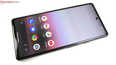 Some Google Pixel 6a users have massive issues after the latest software update (Image source: Notebookcheck)