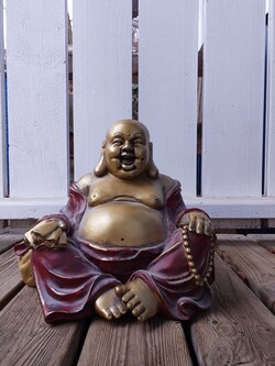 Recording with the selfie camera