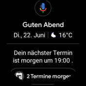 Google Assistant