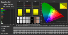 CalMAN - Color Accuracy