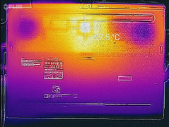 Thermal profile, underside (Witcher 3)