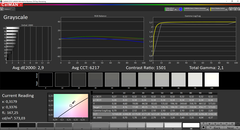 CalMAN - Grayscale before calibration