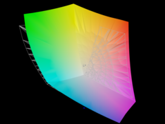 The panel covers 95.5 percent of the AdobeRGB color space