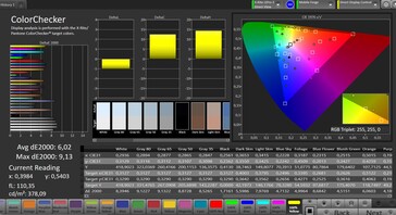 CalMAN color accuracy