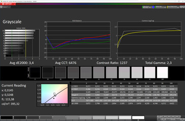 Grayscale (target color space: sRGB, profile: natural, max. warm)