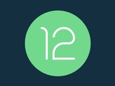 Android 12 is popular already. (Source: Android)