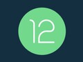 Android 12 is popular already. (Source: Android)