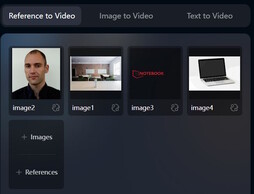 Our reference pictures (picture source: Screenshot on Vidu.com)