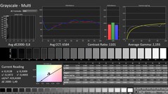 CalMAN: Grayscale (calibrated)
