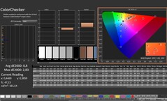 CalMAN: ColorChecker (calibrated)