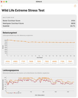 3DMark Wildlife stress test