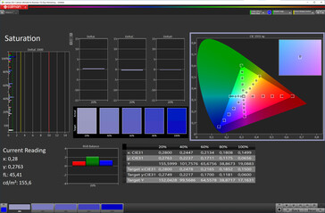 Saturation (color mode: Professional, color temperature: Standard, target color space: sRGB)