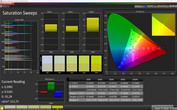 CalMAN Saturation Sweeps (target color space: sRGB)