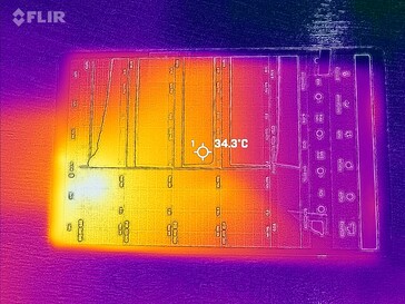 Heat map back