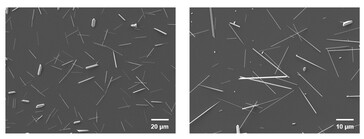 Scanning electron microscope images of the tellurium nanowires in the retinal implant. (Image source: Science. DOI: 10.1126/science.adu2987)