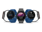 The Garmin Public Beta Version 14.08 has caused issues which lead to a restart in some smartwatches. (Image source: Garmin)