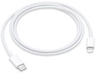 Is this Lightning's last stand? (Source: Apple)