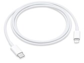 Is this Lightning's last stand? (Source: Apple)
