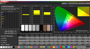 CalMAN ColorChecker calibrated (target color space sRGB, Windows)