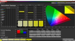 CalMAN Saturation Sweeps calibrated (target color space P3)
