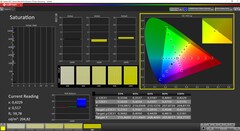 CalMAN - Saturation calibrated (target color space AdobeRGB)