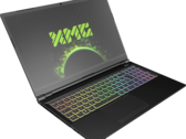 XMG is doing the right thing by actually advertising the wattage of their GeForce RTX 30 GPU options (Source: Bestware.com)