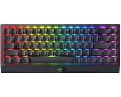 Razer BlackWidow V3 Mini wireless gaming keyboard (Source: Razer)