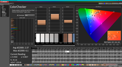 ColorChecker (vs. P3)