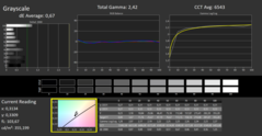 CalMAN Grayscale - calibrated