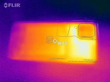 Heatmap - back