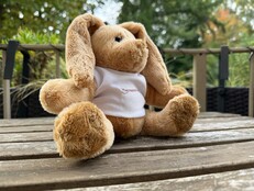 Apple iPhone 17 Pro: Sample photo