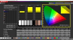 CalMAN ColorChecker calibrated (target color space P3)