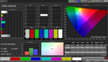 CalMAN sRGB Color Space - external display